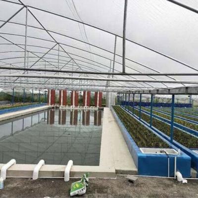 China Greenhouse Greenhouse Hydroponics Aquaponics Growing Systems With Low Cost Plastic Film For Sale for sale