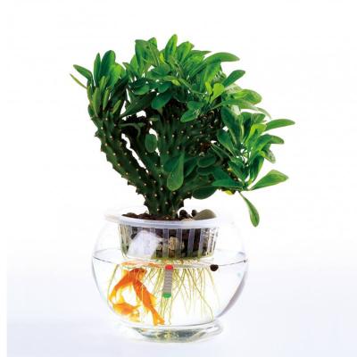 China Quality Viable Best-selling Interesting Aquarium Acrylic Fish Tank for sale