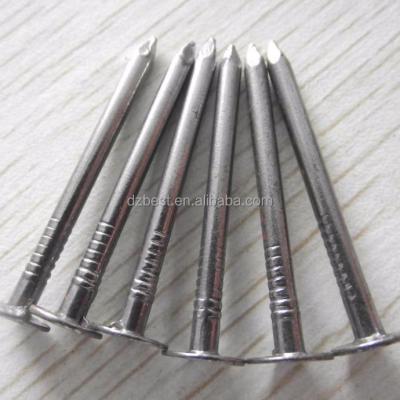 China Factory building hot sale! ! Large Flat Head Galvanized Roofing Nails Eg Cloth Nails for sale