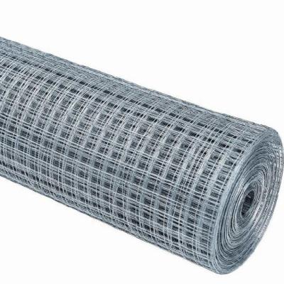 China Anti-Corrosion Welded Wire Mesh Roll Good Quality Welded Wire Mesh Panel for sale