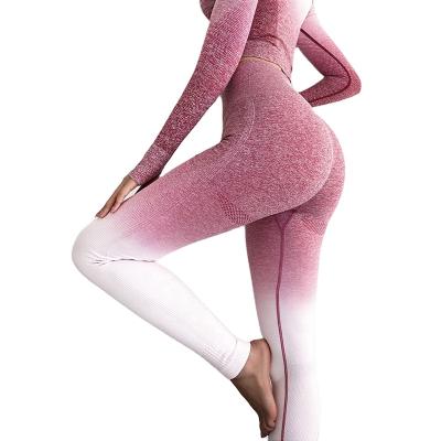 China NEW Breathable Nylon Spandex Women Workout Fitness Gym Use Seamless Yoga Pants Legging Sportswear Gaiters for sale