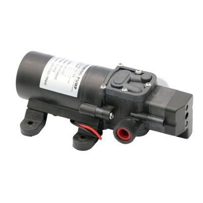 中国 Other Cheap Small 30W 3L/MIN DC Electric Diaphragm Pump With Automatic Pressure Switch 販売のため