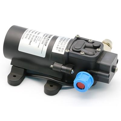 Cina Other Small 24 Volt DC High Quality Diaphragm Electric Water Pumps For Oil Diesel Gaseous Fuel Transfer in vendita