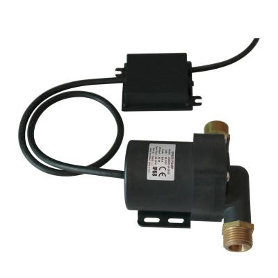 China Other Portable DC 12v 24v Outdoor Fountains Powered Small Submersiblemini DC Motor Water Pump en venta