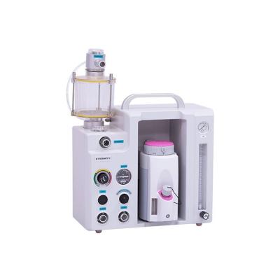 China Hot Selling Best Price Portable Veterinary Anesthesia Anesthesia Machine For Veterinary Use AM803 for sale