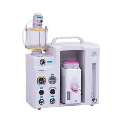 China Finest Price Eco - Friendly Portable Ventilator Small Animal Anesthesia Machine For Veterinary Use AM803 for sale