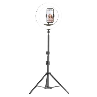 China 12in Photography LED Selfie Ring Light Three-speed Adjustable Stepless Lighting Dimmable with Cradle Head for Makeup Studio Live Video for sale