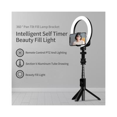 China Fold Tiktok Studio Camera Photographic Selfie Video Conference Lighting Kit Led Ring Light With Tripod Stand for sale