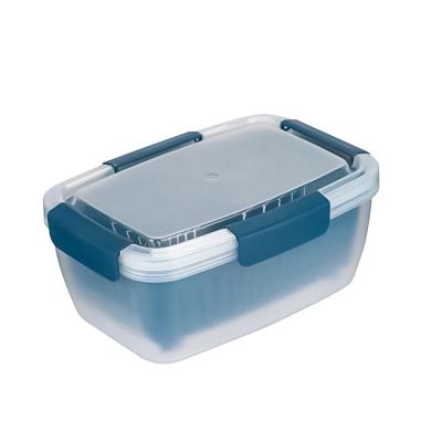 China Double Box Food Grade Sustainable Flowing Fresh Storage Box Small Sealed Microwavable Frozen Refrigerator Storage Boxes for sale