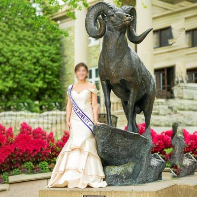 China Western Europe Design Outdoor Decoration Bronze Ram Sculpture for sale