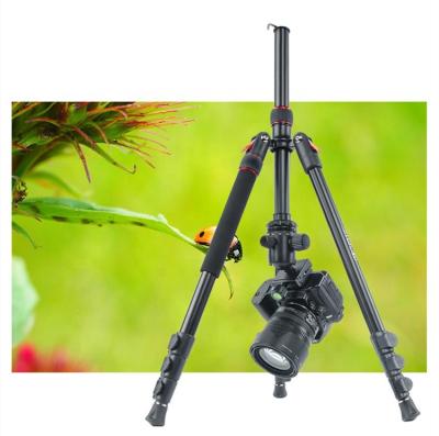 China PORTABLE Professional 171CM Camera Mobile Phone Tripod Stand Q558 for sale