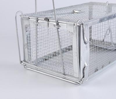 China Quality Disposable Trust Animal Trap For Chipmunk Rat Squirrel Weasel Colapsible Trap Steel Animal Cage for sale