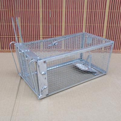 China High Quality Disposable Galvanized Steel Trap Wire Cat Catcher Animal Cages Mouse Trap Cage for sale