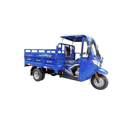 China Commercial Cover Hybrid Electric Rear Axle 250HZ Rain 1200kg Cargo Gas Agricultural Tricycle for sale