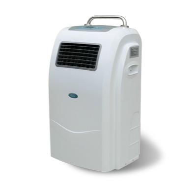 China High Quality Medical Use Best Selling Plasma Sterilizer Air Sterilization for sale