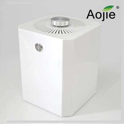 China Car Medical Household Ozone Generator Ceramic Plate Price for sale