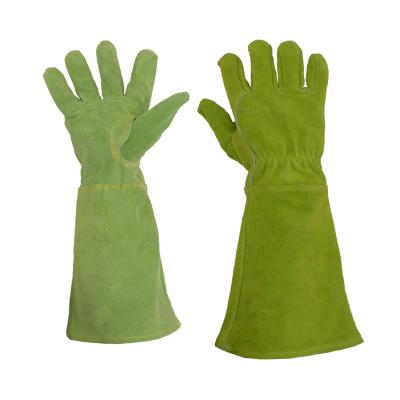 China HANDLANDY /Chore Cowhide Long Cuff Cotton Garden Gloves Green Dotted Leather Gardening/Working Work Gloves for sale