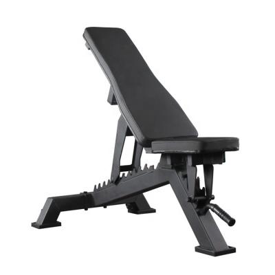 China Weight Forming Commercial Fitness Weight Equipment Free Standing Stretch Bench Adjustable Weight Bench for sale