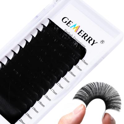 China Volume Fans Easy Volume Eyelash Extensions Individual Whips Fan 003 005 007 Fast Blooming Individual Volume Easy Wicks Fanning Wick Extensions for sale