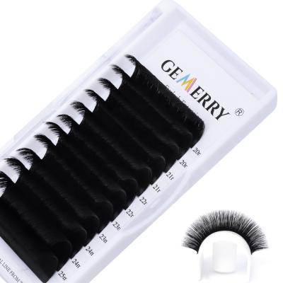 China 0.03/0.05/0.07/0.10 Volume Eyelash Extensions C D Curl 8-14mm Mix Premade Fans 2D-20D Easy Fan Lash Self Fanning Lashes for sale