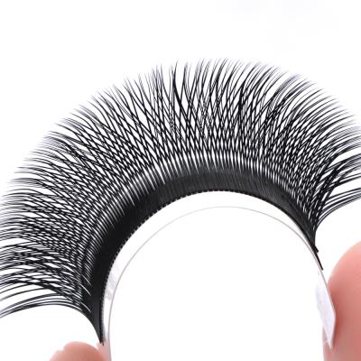 China Premium Thickness 8-14mm y Extensao Dos Cilios Cilios Yy Hair 16 Chicote Full Volume Yy Eyelash Extension 0.07mm Thickness for sale