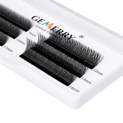 China Fans Easily Gemerry Volume Whips Ww Premade Fans Eyelash Extensions For Different Salon Eyelash Extensions For Wholesale Price OEM for sale