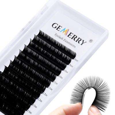 China Easy to fan lashes volume eyelash extensions private label individual packaging wholesales 20mm volume eyelash extension Pestana for sale