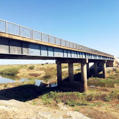 China Industrial road or railway steel structure prefabricated bridge for African countries for sale