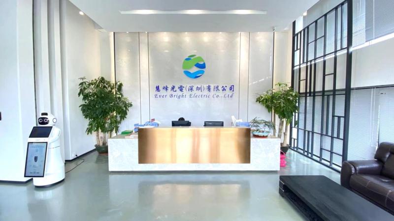 Verified China supplier - Ever Bright Electric Co., Ltd.