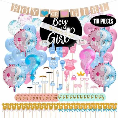 China New Year Boy or Girl Baby Shower Decoration Gender Reveal Party Consumables Bundle for sale