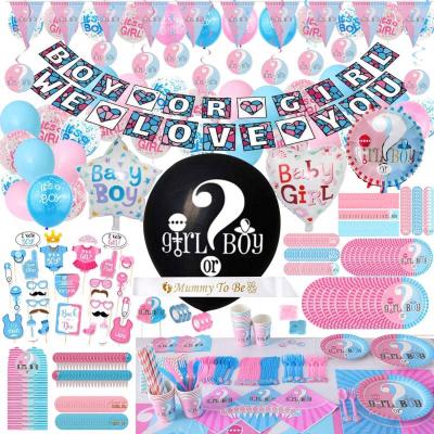 China 2021 New Year Gender Reveal Party Supplies Dinnerware Set Gender Reveal Decoration For 24 Guest Dinnerware Sets for sale