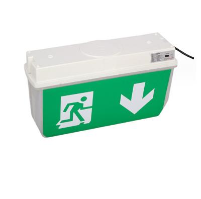 Cina 3W 3H Australian SAA Safety Exit Emergency Light in vendita