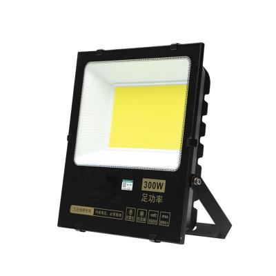 Cina 300W COB Hight Quality LED Floodlight AC220V  Daylight IP66 Waterproof 90LM/W in vendita