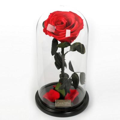 China Rose Forever Preserved 3 Color Forever Stabilized Eternal Roses in Glass Dome for Mothers Day Gifts 7.9 inch for sale