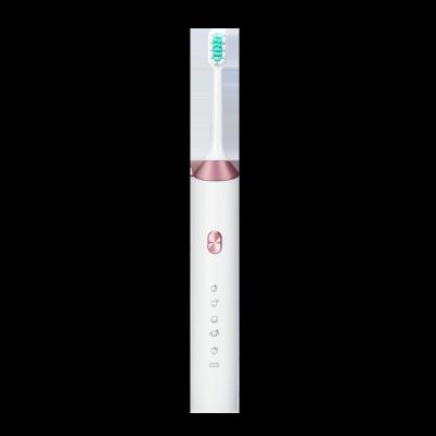 China Waterproof Personalized Usb Sonic Electric Toothbrush Rechargeable Smart Electronic Ultrasonic Teeth Cleaning OEM Travel for sale