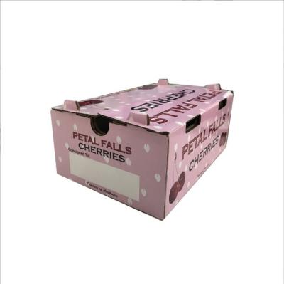 China Double Fruit Box Recyclable Solid Strawberry Cherry Gift Box Packaging Custom Printed Fruit Box for sale