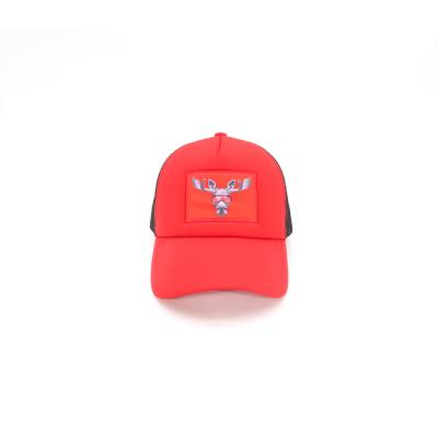 China Oversized Picture 6 Panel Mesh Trucker Hats Summer Hats Trucker Caps Sport Hats for sale