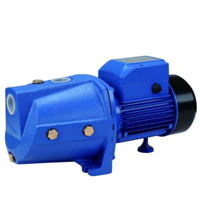 China AC 220V Jet Pumps Self Priming Electric 1hp Washing And Cleaning Water Pump for sale