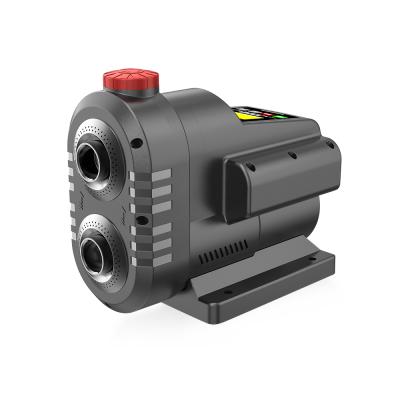 China Family Houses Constant Pressure Permanent Magnetic Variable Frequency Water Pump for sale