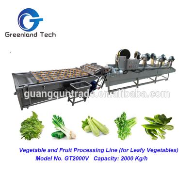 China Good Quality Snake Food GT2000V Fruit And Vegetable Processing Line (For Leafy Vegetables) 2000kg/h for sale