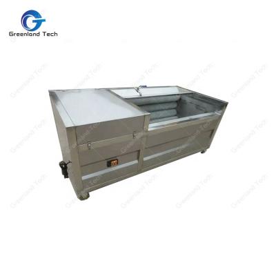 China For interesting industrial fruit and vegetable processing factory quality GT1000P potato cassava washing and peeling machine 600-1000 kg/h for sale