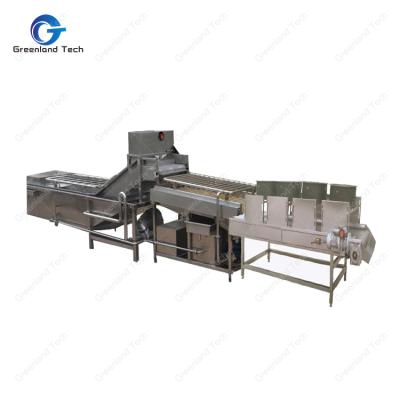 China Lowest Cost Snake Food GT2000F Citrus Processing Machinery 2000 Kg/h for sale