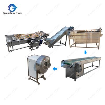 China Customized Food GT-G1000 Automatic Snake Ginger Washing Peeler and Slicer Machine Line 1000kg/h for sale