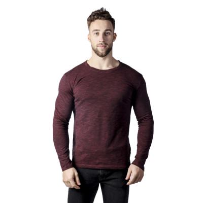 China Custom Made Anti-Wrinkle High Quality Men's Fitness Polyester Long Sleeve Vintage T-Shirt T-Shirt For Men for sale