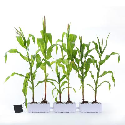 China No Happy Good Indoor Garden Hydroponic System Soil Relay Life Indoor Herb Garden Special Hydroponic Pots for sale