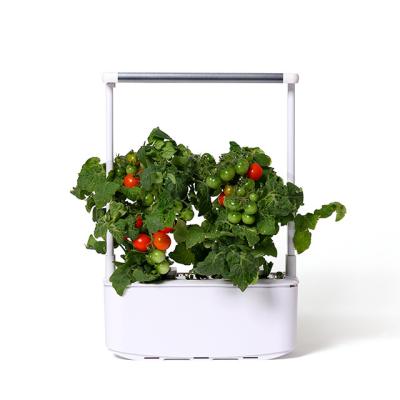 China No Soil Relays Mocle Minigarden With Smart Soil - Hydroponic Growing Systems With Led Growing Light And Timer for sale