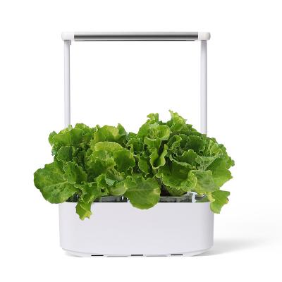 China No Soil HH Mocle Amazon Planter Hot Sale Indoor Garden Mini Hydroponic System Special Home Garden for sale