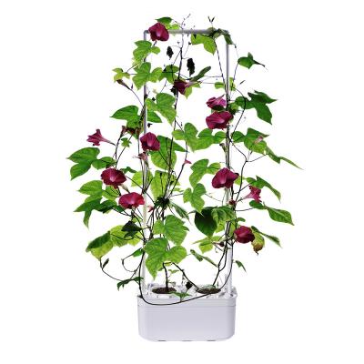 China No Soil Relay Best Selling Indoor Garden Hydroponic System Good Garden Product Special Planter Home Grow System For Hydroponics for sale