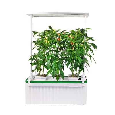 China Indoor Hydroponic Garden HH High Quality Smart Hydroponic Grow Box Indoor Hydroponic Grow Kit Indoor Hydroponic Vegetable Garden for sale