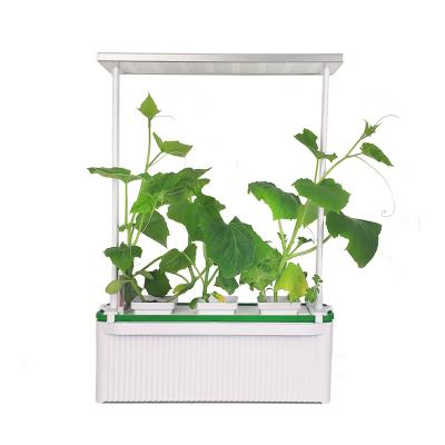 China HH Big Size 6L Hydroponic Indoor Herb Garden Growing System Hydroponic Indoor Herb Garden Growing System for sale